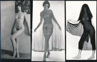 cca 1975 Vegyes válogatás, szolidan erotikus felvételek, 3 db vintage negatív (24x36 mm) és 4 db vin...