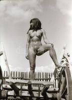 cca 1970 Nagyterpeszben kiválóak, szolidan erotikus felvételek, 11 db vintage negatív, 24x36 mm