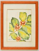 Benczúr jelzéssel: Bogyós növény. Akvarell, papír, üvegezett keretben, 16×12 cm