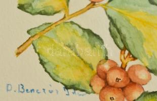 Benczúr jelzéssel: Bogyós növény. Akvarell, papír, üvegezett keretben, 16×12 cm