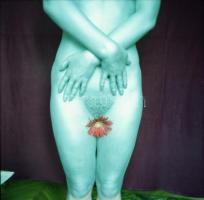 cca 1985 Mindenkivel megtörténhet, szolidan erotikus felvételek, 4 db vintage negatív (6x6 cm) és 2 ...