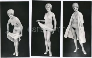 cca 1968 Privát vetkőzőszám, szolidan erotikus felvételek, 6 db vintage fotó, 15,5x8 cm