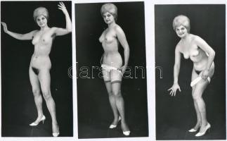 cca 1968 Privát vetkőzőszám, szolidan erotikus felvételek, 6 db vintage fotó, 15,5x8 cm