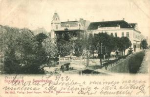 1902 Savanyúkút, Sauerbrunn; Bellevue szálloda, étterem és kávéház / hotel, restaurant and cafe