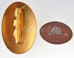 DN "Érdemes Vasutas" aranyozott, zománcozott fém jelvény (44mm) + "Magyar Államvasuta...