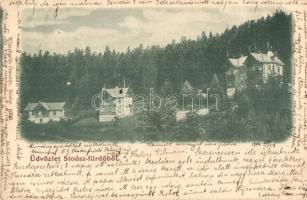 1900 Stoószfürdő, Stos Kúpele; nyaralók / villas (EK)