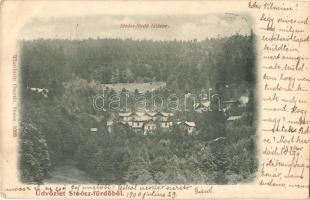 1900 Stoószfürdő, Stos Kúpele; nyaralók / villas (EK)