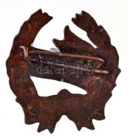 1956. "B.T.S.B. Természetjáró CS.B. - Rendezői" zománcozott fém jelvény (27x30mm) T:2