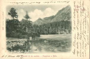 1899 Tátra, Poprádi tó és menház / Poppersee / Popradské pleso / lake and rest house (ázott sarok / wet corner)
