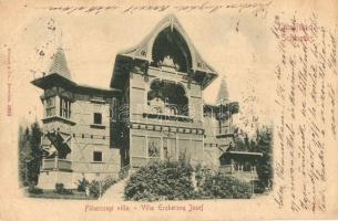 1899 Tátrafüred, Ótátrafüred, Altschmecks, Stary Smokovec; Főhercegi villa / Villa Erzherzog Josef