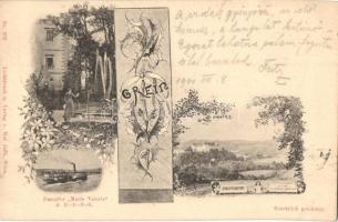 1900 Grein, Schloss Park, Dampfer Marie Valerie d. DDSG. Donaufahrten / castle park, steamship. Art Nouveau