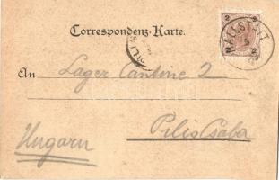 1893 (Vorläufer!) Hallstatt, Karl Stücker's Kunstanstalt. Art Nouveau, floral