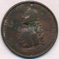 Hollandia 1747. IV. Vilmos orániai herceg Br emlékérem (40mm) T:2-,3 ly. Netherlands 1747. William IV, Prince of Orange Br commemorative medallion (40mm) C:VF,F hole