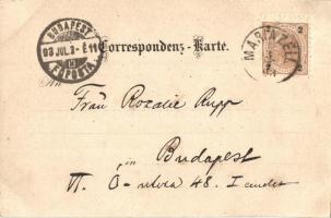 1893 (Vorläufer!) Mariazell, Bürger Alpl, Erlaf See, Kirche / church, lake, rest house. Floral, lith...