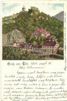 1900 Celje, Cilli; Verlag von Fritz Rasch Celeja (EK)