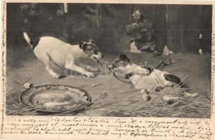 8 db régi kutya és macska motívumlap, közte pár litho / 8 pre-1945 dog and cat motive cards, among t...