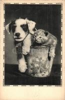 8 db régi kutya és macska motívumlap, közte pár litho / 8 pre-1945 dog and cat motive cards, among t...