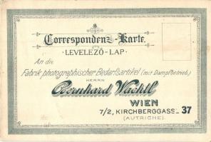 Gradisca, Gradiska (Küstenland); Chiesa della B.U. addolorata, Castello / church, castle, Bernhard W...