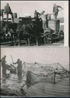 cca 1940 3 db halászattal kapcsolatos fotó 16x12 cm