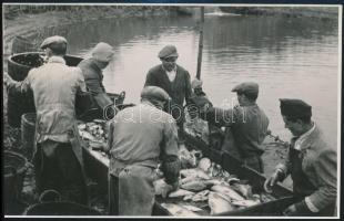 cca 1940 3 db halászattal kapcsolatos fotó 16x12 cm