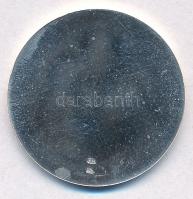 DN "Patrona Hungariae" jelzett egyoldalú Ag emlékérem (10,45g/0.925/30mm) T:PP