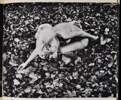 Aktalbum. 1884, Corvina. Kiadói kartonált kötés, kopottas állapotban, belül néhány lap összeragadt