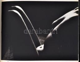 Aktalbum. 1884, Corvina. Kiadói kartonált kötés, kopottas állapotban, belül néhány lap összeragadt