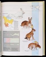 Attenborough, David: Az élővilág atlasza. 1994, Geoholding. Kiadói kartonált kötés, papír védőborító...