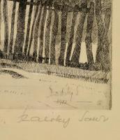 Szalóky Sándor (1921-1978): Őszi idő Csobánkán. Rézkarc, papír, jelzett, üvegezett keretben, 30×40 c...