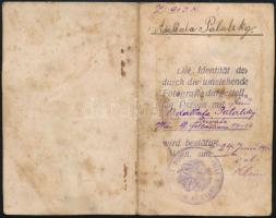 1927 Osztrák fényképes igazolvány / Austrian ID