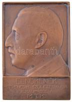 Szentgyörgyi István (1881-1939) ~1920. Elnökének ötvenedik születésnapja alkalmából a M.T.K. Br emlékplakett (78x112mm) T:2