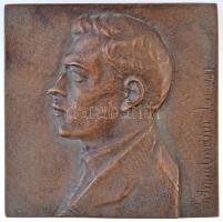 Schmidmann László (1888-1964) 1921. Balra néző férfiportré, egyoldalas Br plakett (97x97,5mm) T:2 patina