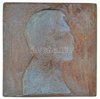 Schmidmann László (1888-1964) 1921. Balra néző férfiportré, egyoldalas Br plakett (97x97,5mm) T:2 pa...