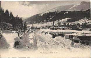 Davos, Winterlandschaft / winter landscape