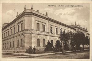 61 db főleg RÉGI magyar városképes lap / 61 mostly pre-1945 Hungarian town-view postcards
