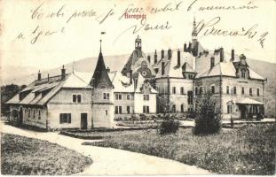 Beregvár, Karpaty, Karpati; Schönborn kastély. Bertsik Emil 67. / castle (EK)