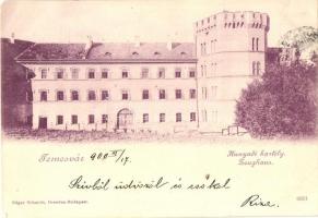 1900 Temesvár, Timisoara; Hunyadi kastély. Schmidt Edgar kiadása / Zeughaus / castle (EK)