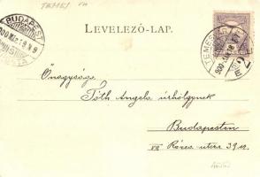 1900 Temesvár, Timisoara; Hunyadi kastély. Schmidt Edgar kiadása / Zeughaus / castle (EK)