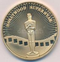 Amerikai Egyesült Államok DN Whitney Houston aranyozott fém érem, multicolor T:PP USA ND Whitney Houston gold plated metal coin, multicolor C:PP