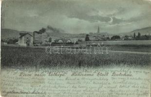 1901 Lőcse, Levoca; látkép gyárral / panomara view with factory (EK)