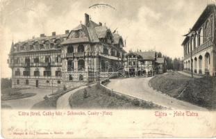 1905 Tátrafüred, Ótátrafüred, Altschmecks, Stary Smokovec; Csáky-ház / Csaky Haus / villa (fa)