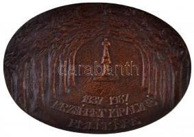 DN "Gödöllő / 1837-1987. Erzsébet királyné emlékére" Br emlékplakett tokban (100x70mm) T:2