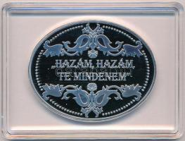 DN "Hazám, hazám, te mindenem / Legendás épületek - Nagy Imre / Országház" ezüstözött Cu e...