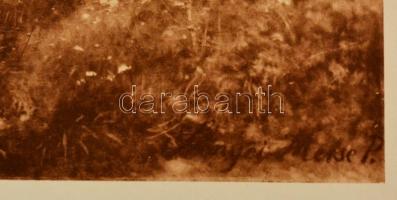 Régi reprodukció, Szinyei Merse Pál: Majális, litográfia, papír, 20×26 cm