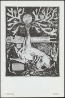 Kass János grafikái. Szeged, 1988, Szeged MVT VB Művéslődésügyi Osztálya. 16 reprodukcióval, papír m...
