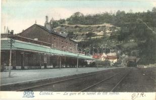 Esneux, La gare et le tunnel / railway station, tunnel