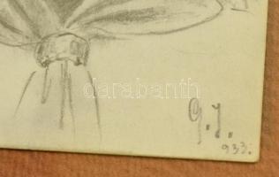 G. J. jelzéssel: M. Fida, India, férfi portré, ceruza, papír, jelzett, üvegezett fa keretben, 14×9 c...