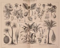 A Pallas Nagy Lexikona. Az összes ismeretek enciklopédiája tizenhat kötetben. 63 papírborítású füzet...