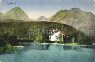 Tátra, Magas-Tátra, Vysoké Tatry; - 9 db régi képeslap / 9 pre-1945 postcards