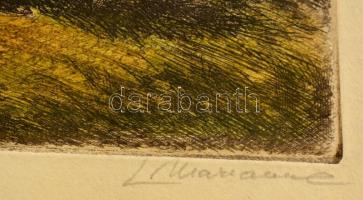 Olvashatatlan jelzéssel: Nyári tájkép, színezett rézkarc, papír, 32×44,5 cm